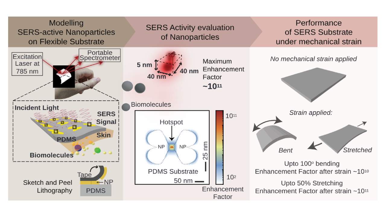 Flexible, Stretchable, And Single-molecule-sensitive SERS-active Sensor ...