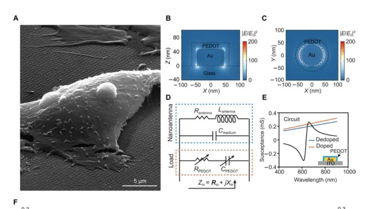 electro plasmonic nanoantenna a nonfluorescent optical probe