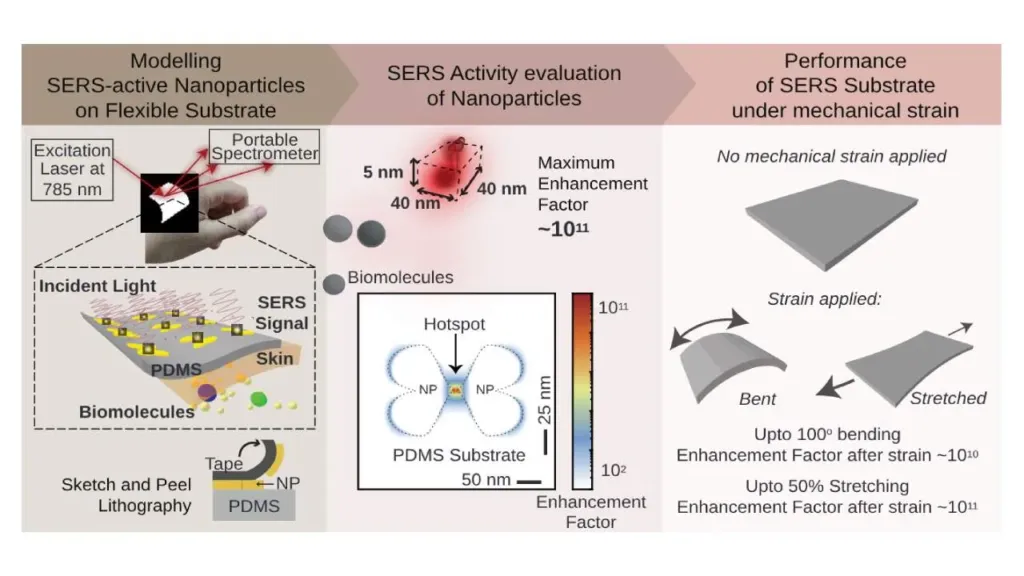flexible stretchable and single molecule sensitive sers acti