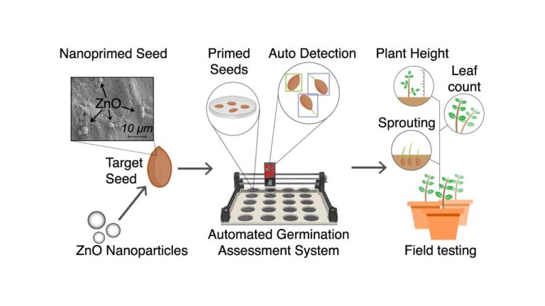 Nanopriming and AI for Sustainable Agriculture Boosting Seed Germination and Seedling Growth with Engineered Nanomaterials and Smart Monitoring through Deep Learning