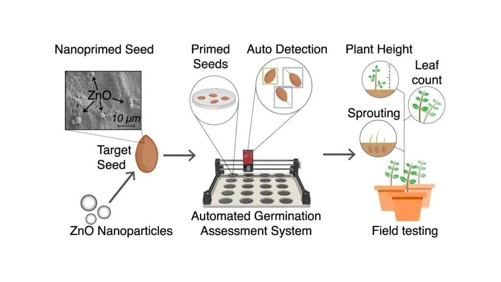 nanopriming and ai for sustainable agriculture boosting seed