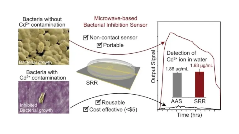 microwave based sensor for cadmium detection utilizing bacte