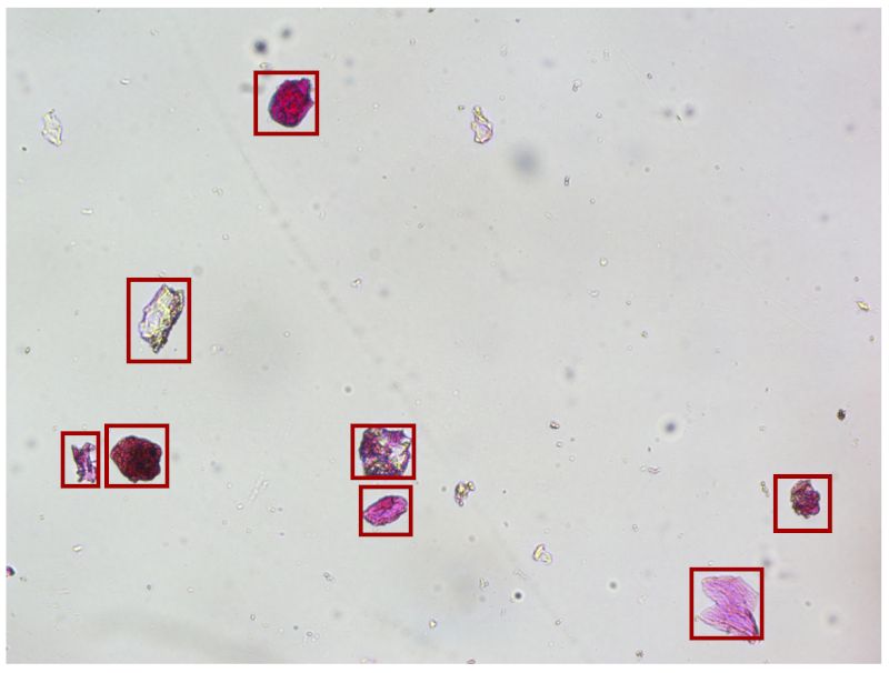 AI Powered Magnetic Microplastic RemediationCombining Nanomaterials AI Microscopy for Sustainable Pollution Solutions01