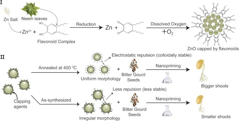 green nanotech breakthrough published in nanoscale advances