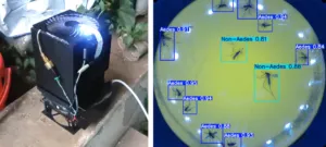 Smart Vector Surveillance for Dengue Early Warning